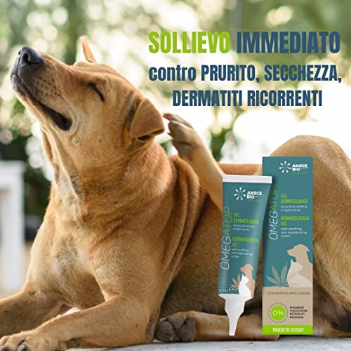 OMEGATOP Dermatologisches Gel für Hunde & Katzen | Lindert Juckreiz, regeneriert & schützt die Haut | Mit Hanföl, Ceramiden & Hyaluronsäure | Für empfindliche Haut, Trockenheit & Dermatitis
