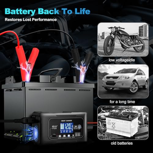 20-Amp LiFePO4 Battery Charger, 12V/24V Smart Car Battery Charger, Trickle Charger and Battery Desulfator, Portable Battery Maintainer, Lithium Batteries, for Car Boat Lawn Mower Motorcycle Truck - Image 5