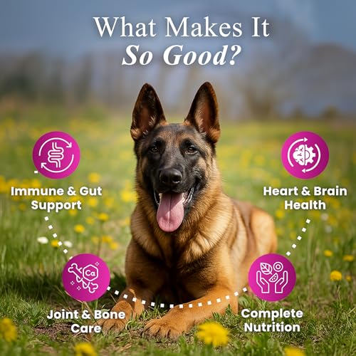 Image of Petroyale Senior Support Dog Supplements - All-in-One Senior Dog Supplements for Mobility, Hip & Joint, Brain, Heart & Eye Health - Immune Support Vitamins (Dog Senior Support 60 Soft Chews)