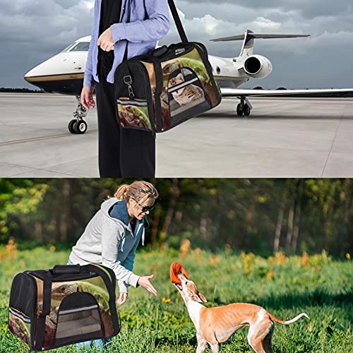 Sac de transport portable animal avec impression gecko et côtés souples - 8