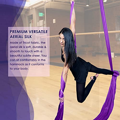 Aerial Yoga Hammock Premium Aerial Silk Yoga Swing for Antigravity Yoga Inversion Exercises