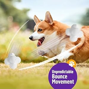 Durable dog chew balls for aggressive chewers  atom teething toys for puppies medium and large dogs  3 pack   cucciolini doodles