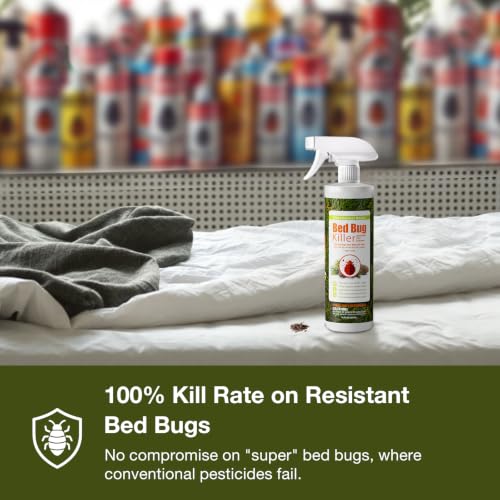 Image of EcoVenger (Formerly EcoRaider) Bed Bug Killer with Remote Sprayer 1Gal - Kills 100% All Stages on Contact- Kills Resistant Bugs- Kills Eggs- 14 Day Residual Protection- Non-toxic- Child & Pet Friendly