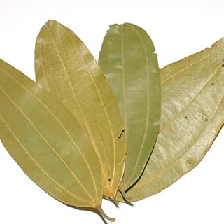 ベイリーフ/シナモンリーフ/カシアリーフ（ホール）【30g】/スパイス・ハーブ・香辛料・調味料