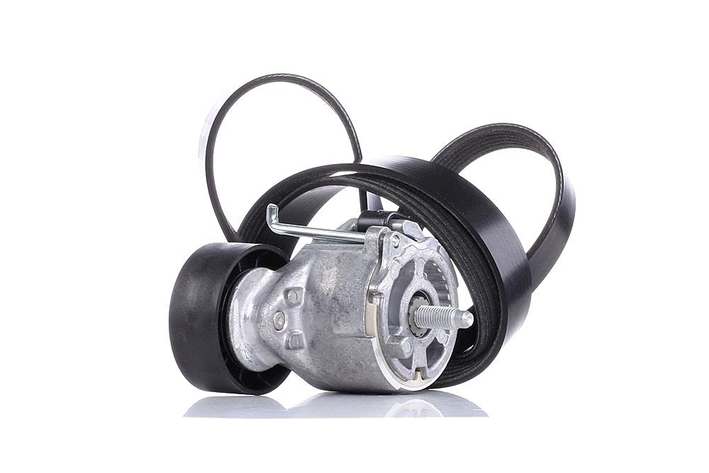 Dayco KPV233 estriada-Kit