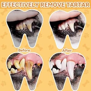 Dog teeth cleaning wipes for dogs  cats 60 counts dog dental care wipes dog tooth brushing kit dental wipes remove bad breath by reducing tartar buildup  freshens breath   cucciolini doodles