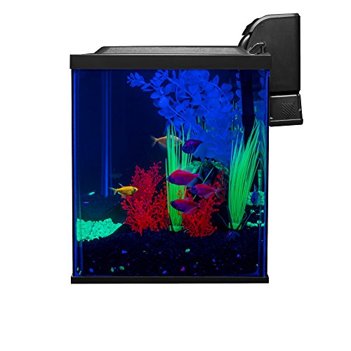 Glofish 10 Gallon Aquarium Fish Tank Kits, Includes Led Lighting And Décor (Amazon Exclusive) #TOP1