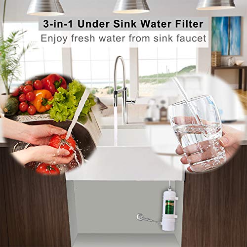 Hansing Full Flow Under Sink Water Filter with 13K Gallons Ultra High Capacity - Removes Chlorine, Chloramine, Lead, Heavy Metals, Odors, Bad Tastes and More