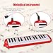 EastRock 32 Key Melodica Instrument Keyboard Soprano Piano Style with Mouthpiece Tube Sets and Carrying Bag for Beginners Adults Gift Red