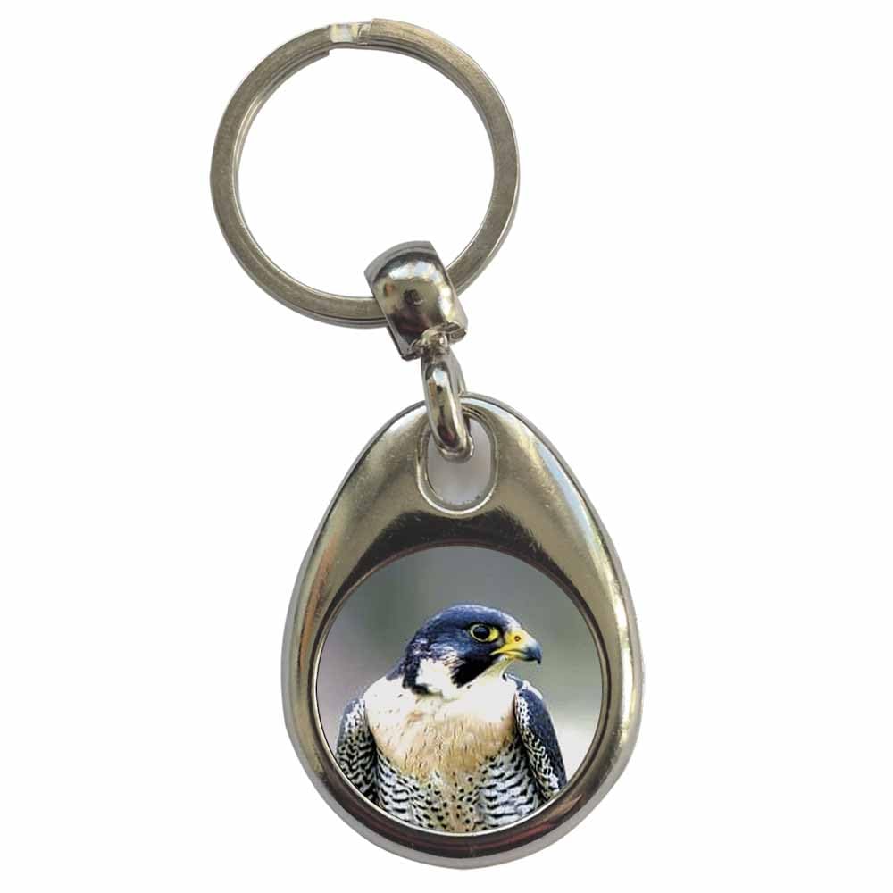 Ozorath Peregrine Falcon Keyring Keychain with Split Ring Attachment and Metal Key Fob