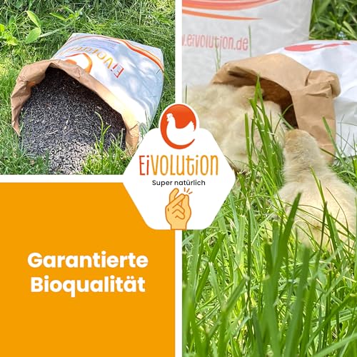 Eivolution Bio-Sonnenblumenkerne 800g - Probiergröße – Ideal für Meisenknödel & Futterspender – Hühner- & Wildvogelfutter – Natürlich, Energiereich, Gentechnikfrei, Winterfutter