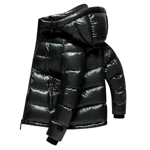 Mens Winter Thick Warm Hooded Shiny Down Jacket Youth Casual Fashion Versatile Puffer Jackets(Small)
