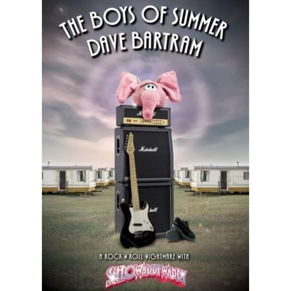 The Boys of Summer by Dave Bartram PAPERBACK 9781781960981
