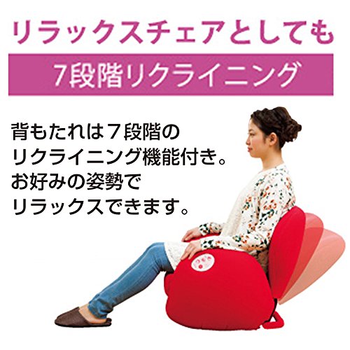 ツカモトエイム エアリーシェイプ スタイル フィット レッド Aim Fn023 Re 家電 カメラ Av機器 家電 理美容家電 ボディケア エステ機器 Whenbuy Jchere Com