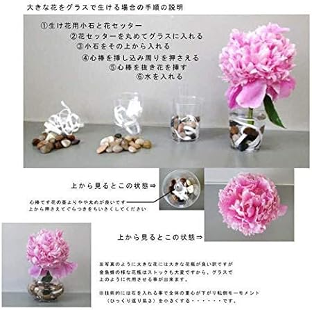 Amazon 花セッター 剣山 給水スポンジの様な使い方が出来る 剣山 Amazon 花セッター 剣山 給水スポンジの様な使い方が出来る 剣山