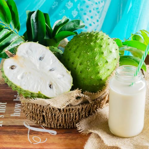 10+Seed Soursop Fruit Tree Seed for Planting Outdoor- Non-GMO Heirloom Fresh Tropical Fruit Plant in Your Containers Home Garden