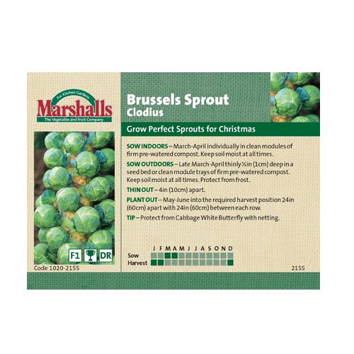 Unwins Brussels Sprout Clodius Seeds