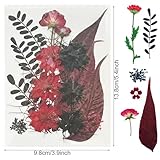 Zoom IMG-2 woohome 85 pz naturali pressati Zoom IMG-2 woohome 85 pz naturali pressati