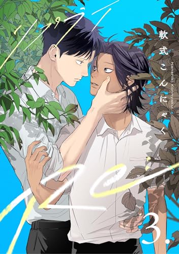 【分冊版】Re: 3 (picn comics)