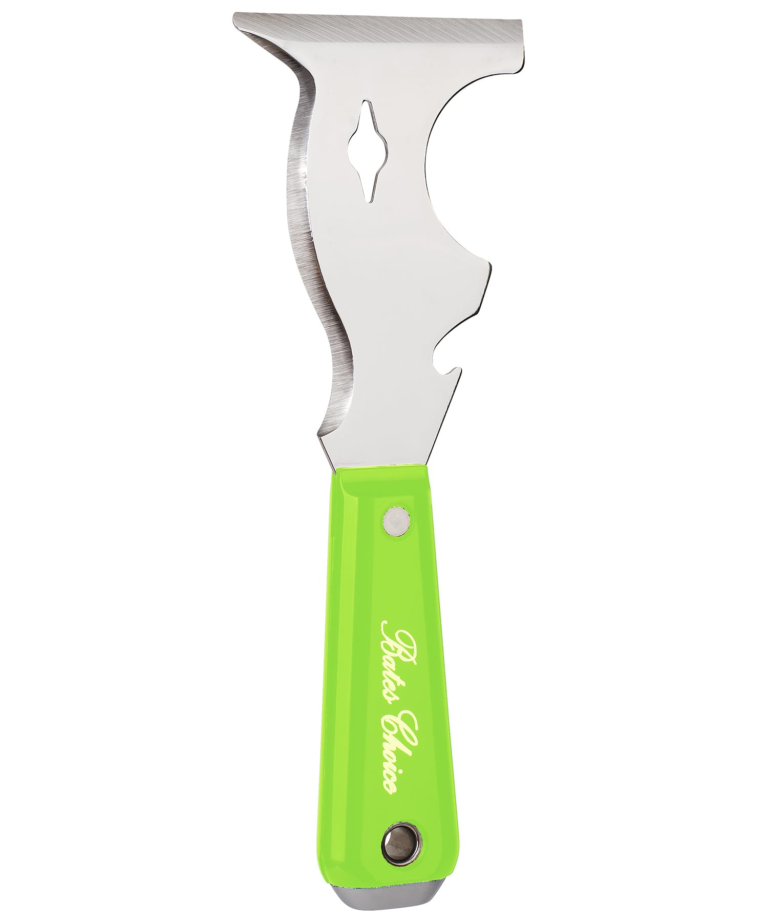 Bates- Paint Scraper, 10 in 1 Painters Tool, Green Handle Paint Scrapers for Wood, Painters Tool, Painters Knife, Paint Scraper for Painting, Putty Knife, Metal Scraper, Spackle Knife, Putty Scraper