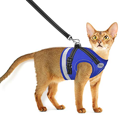List Of Top 5 Best Cat Leashes And Harnesses For Walking Large For You