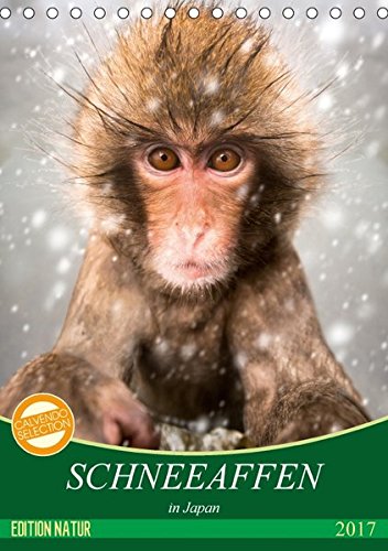 Schneeaffen in Japan (Tischkalender 2017 DIN A5 hoch): Ein lustiger Affenkalender für die ganze Familie (Monatskalender, 14 Seiten ) Schneeaffen in Japan (Tischkalender 2017 DIN A5 hoch): Ein lustiger Affenkalender für die ganze Familie (Monatskalender, 14 Seiten )