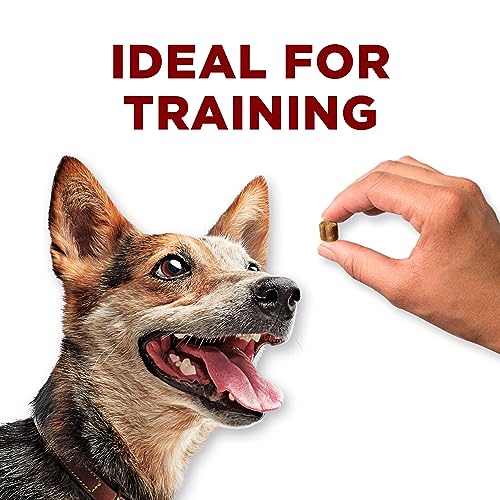 Purina ONE Dog Treats, True Instinct Bites Salmon - 566 g Pouch (1 Pack) image 6