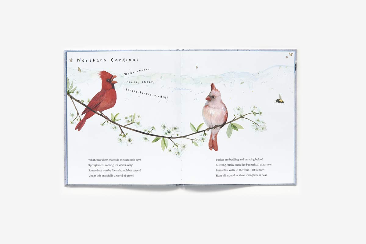 Snow Birds: 1