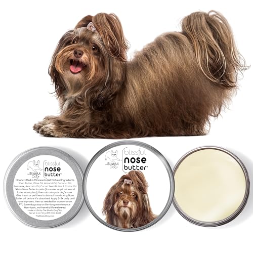 Image of The Blissful Dog Havanese Unscented Nose Butter - Dog Nose Butter, 4 Ounce