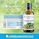 Grüner Kaffee Tropfen, Tinktur 50 ml – Auszug aus Coffea arabica L., ergänzt mit Vitamin B6, Vegan von BIOHERBA PZN 17186687 Coffea arabica L., ergänzt Coffee Grüner Kaffee Tropfen