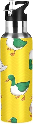 Insulated Water Bottle 20 Oz, BPA-Free Sports Water Bottle with Straw for Gym Outdoor Travel School, Green White Ducks Yellow