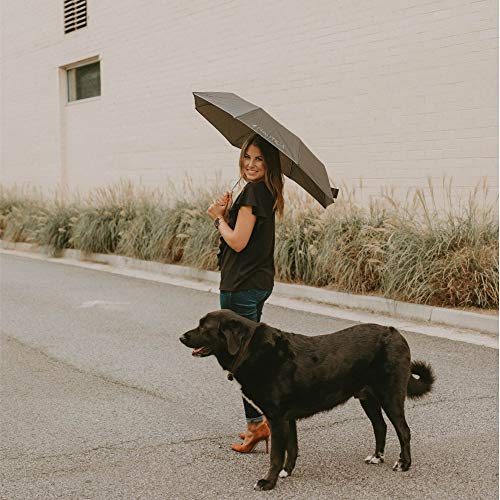 2-Pack Nautica Umbrella for Travel - Auto Open Compact, Lightweight & Folding - Best Windproof Umbrellas for Rain, Sun… - Image 8