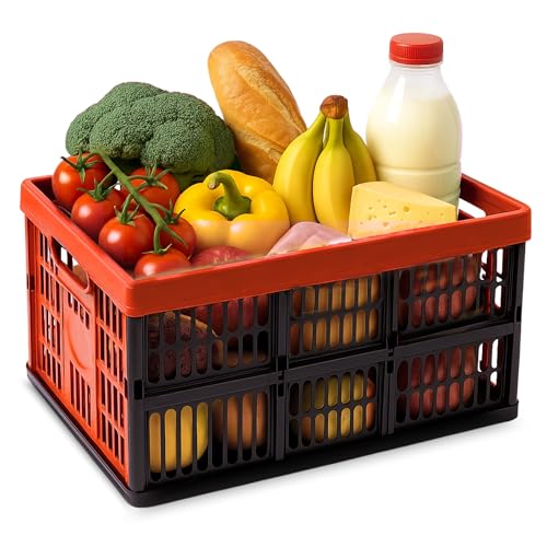Caja Plegable con Asas, Caja plástico para Camping, Organizador para almacenaje, 48 cm Largo x 35 cm Ancho x 23 cm Alto, Capacidad 32 litros, Con asas laterales, Carga máxima de 18 Kg