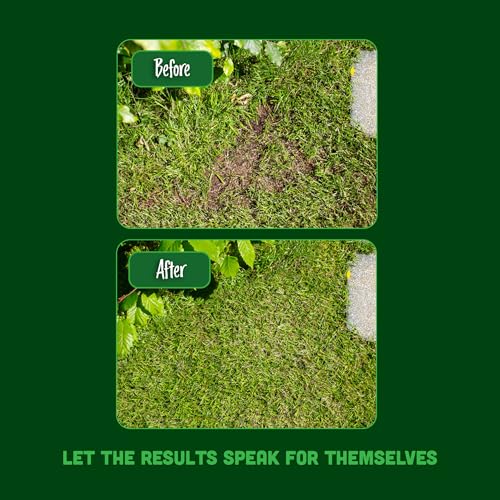 Envii Patch Repair – Fast Growing Grass Seed Mix Repairs Damaged Lawn Patches by Dogs Urine, Pet Friendly Tailored to UK Climate, Ideal for Overseeding & New Lawns, Treats Up to 125 Patches - Image 4