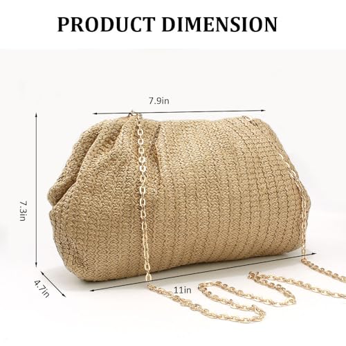AHONEY Straw Purse Beach Bag Straw Designer Handbag for Women Nude Clutch Dumpling Pouch Boho Crossbody Shoulder Bags for Vacation Beach Summer2