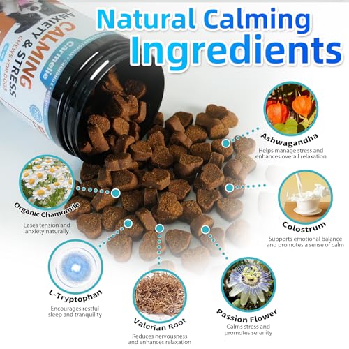 Carmelie Calming Treats for Dogs - 200 Count Calming Dog Treats -Alternative Calming Chews for Dog Reduce Stress, Fear, Separation Anxiety - Natural Valerian Root, L-Tryptophan - Chicken Flavor - Image 4