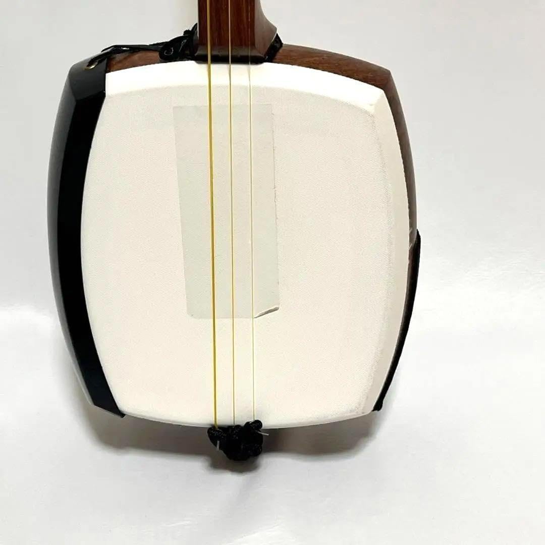 津軽三味線 本体 ケース、鼈甲バチ付き 津軽三味線 鼈甲 バチ ケース付き 専用ケース 津軽三味線 ケース付き