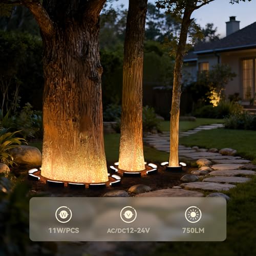 Image of LEONLITE 6-Pack Update 5CCT Low Voltage Landscape Tree Ring Lights, IP65