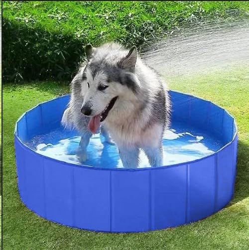 Piscina para Perros, Plegable Mascota, Piscina portátil Bañera para niños, Gran Mascota Perro Gato PVC Antideslizante para Interiores/Exteriores 80x30CM