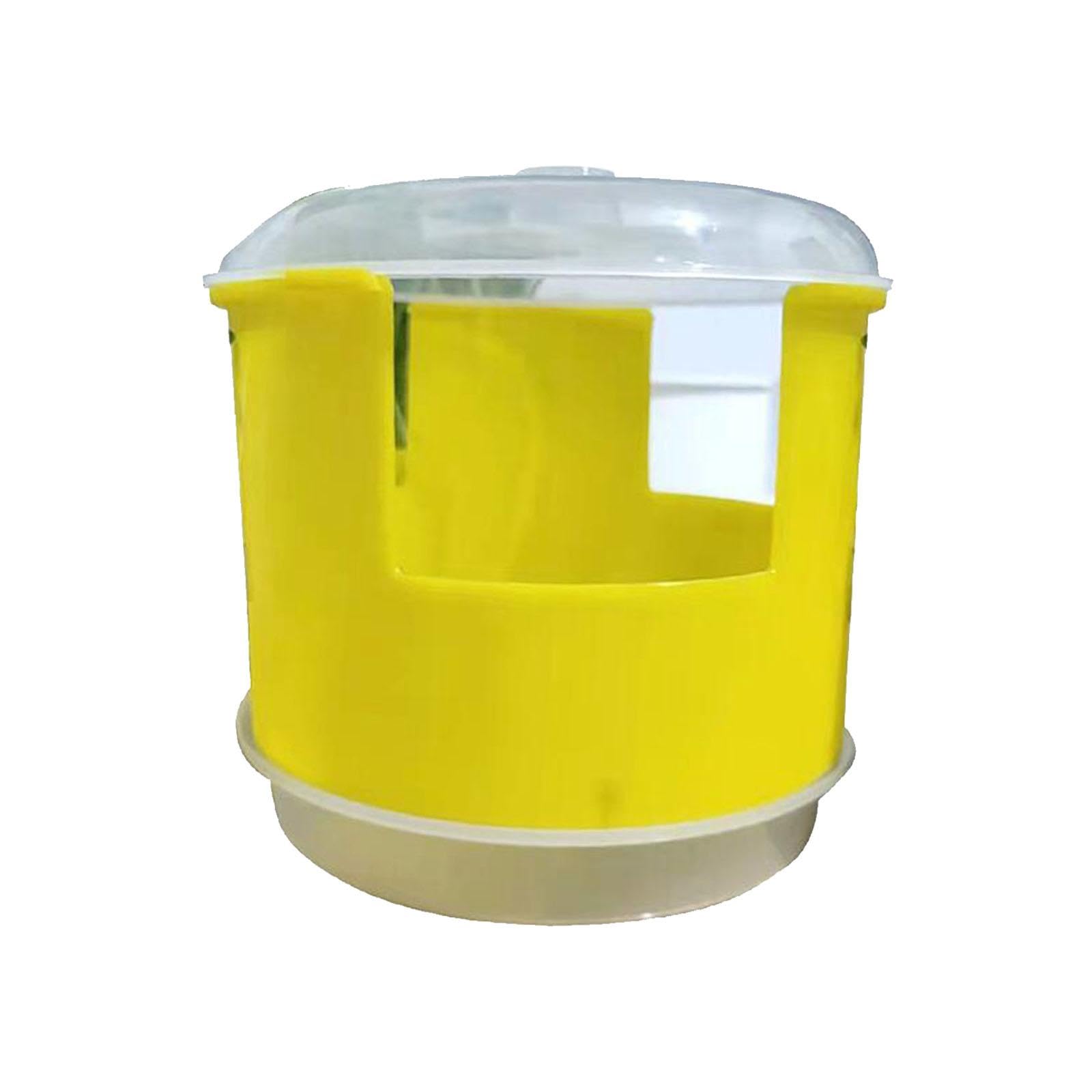 seed sprouter set large capacity hydroponic peanut sprout box for wheatgrass yellow