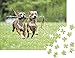 Puzzle Adulte, Puzzle Bois, Cadeau de vacances Chien animal - puzzle classique-1000 Pièces