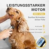 FuzzyFix Leise Hundeschermaschine Dichtes Fell, Profi Schermaschine Hund aus Edelstahl,Professionelle Hunde Haarschneidemaschine Hunderasierer für Dickes Lockiges Tierhaare,Weiß