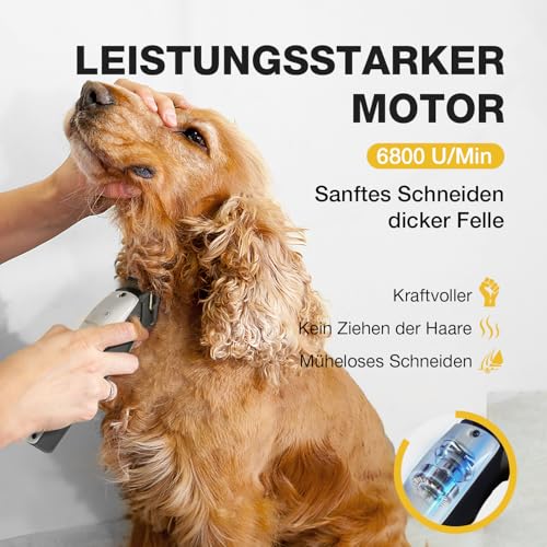 FuzzyFix Leise Hundeschermaschine Dichtes Fell, Profi Schermaschine Hund aus Edelstahl,Professionelle Hunde Haarschneidemaschine Hunderasierer für Dickes Lockiges Tierhaare,Weiß