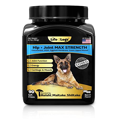 Top 10 Best Glucosamine Products for Pets A MustRead Buying Guide