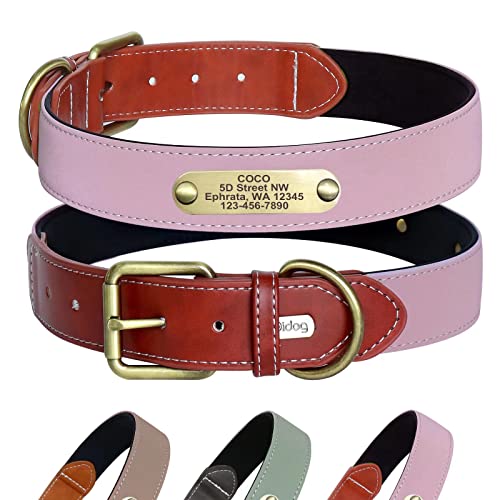 Didog Collier réfléchissant personnalisé pour Chien avec Plaque gravée Bronze - Collier rembourré en néoprène Doux avec Boucle en métal - Collier réglable pour Chiens de Petite Moyenne Grand Taille Cover