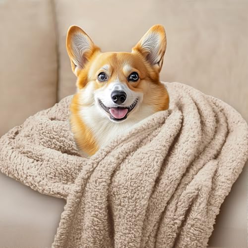 Image of 1 Pack 3 Calming Blankets Fluffy Premium Fleece Pet Blanket Soft Sherpa Throw for Dog Puppy Cat Beige /Black /Grey Large (41x31'')
