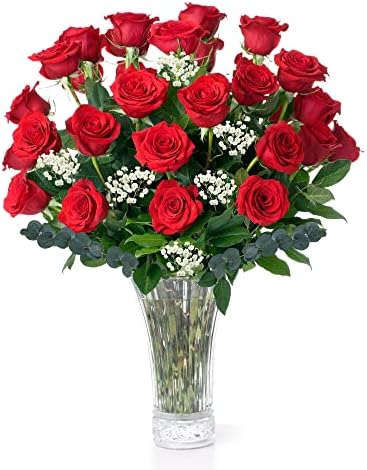 Red Roses Fresh Flowers Delivery by Fri, March 10th- 2 Dozen Roses for Delivery/Farmhouse Flowers for Delivery - Fresh Cut Long Stem Roses Bouquet of Flowers Birthday Gifts for Women -Aquarossa Farms