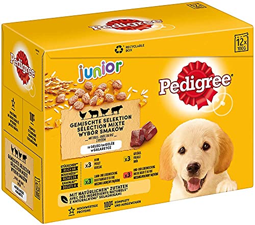 Pedigree | Gemischte Selektion in Gelee 4 Varietäten mit Huhn, Rind+Leber, Geflügel, Lamm+Leber | 12x100g