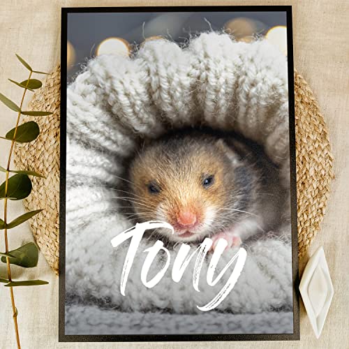 Elbeffekt Mein Hamster Holzbild - Foto Geschenk - personalisierbar zum Hinstellen/Aufhängen opt. beleuchtet Hamster Zubehör, Hamster Spielzeug, Mein Hamsterkäfig Poster - Dein Hamster Fotogeschenk Elbeffekt Mein Hamster Holzbild - Foto Geschenk - personalisierbar zum Hinstellen/Aufhängen opt. beleuchtet Hamster Zubehör, Hamster Spielzeug, Mein Hamsterkäfig Poster - Dein Hamster Fotogeschenk
