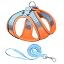Orange Blue